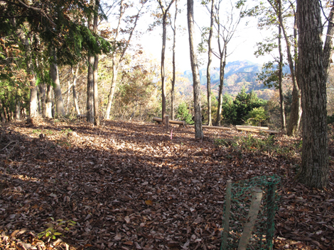 20181115hike (239)